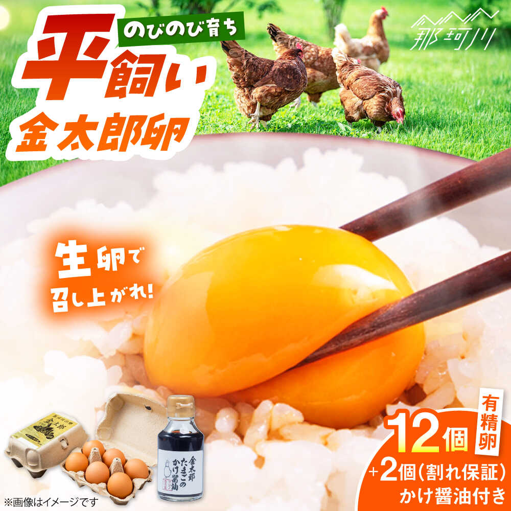 【ふるさと納税】【TVで紹介！】【鮮度ＡＡ級の世界最高基準！】金太郎卵 たまごかけごはんセット＜有限会社 フジノ香花園＞那珂川市 | 父の日 母の日 卵 たまご 平飼い 卵かけご飯 醤油セット 朝ごはん ご飯のお供 [GAM002] 10000 10000円 1万円 以下