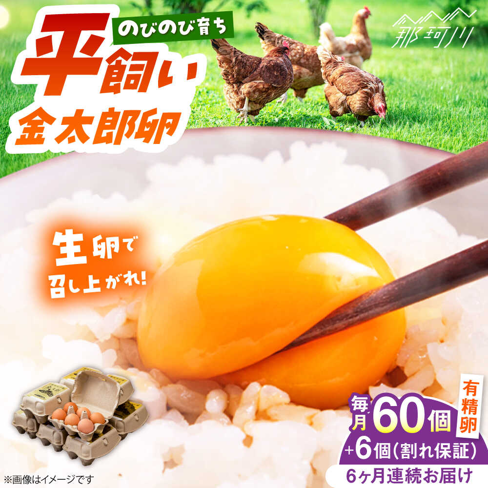 楽天市場】【ふるさと納税】＜内容量が選べる＞ 平飼い赤鶏の