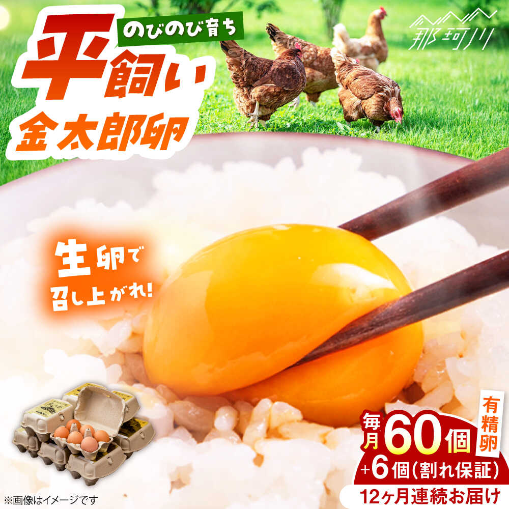 【ふるさと納税】【TVで紹介！】【全12回定期便】鮮度ＡＡ級の世界最高ランク！金太郎卵 平飼い たまご 60個（6個×10パック）＜有限会社 フジノ香花園＞那珂川市 | 父の日 母の日 定期便 卵 たまご 平飼い 定期便 卵かけご飯 新鮮 大容量 [GAM013] 290000 29万円 以上