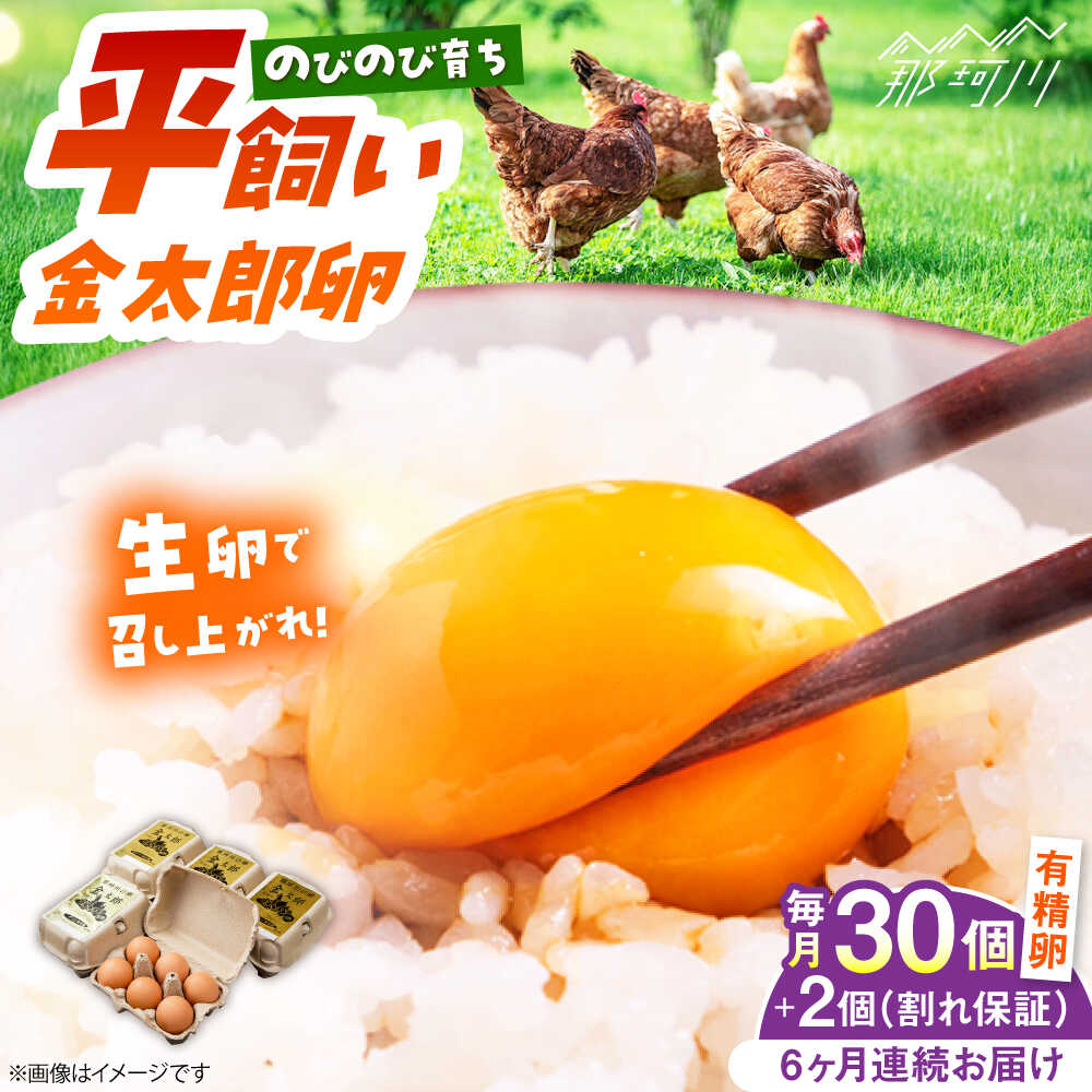 【ふるさと納税】【TVで紹介！】【全6回定期便】鮮度ＡＡ級の世界最高ランク！金太郎卵 平飼い たまご 30個（6個×5パック）＜有限会社 フジノ香花園＞那珂川市 | 父の日 母の日 定期便 卵 たまご 平飼い 定期便 卵かけご飯 [GAM018] 80000 80000円 8万円 以上