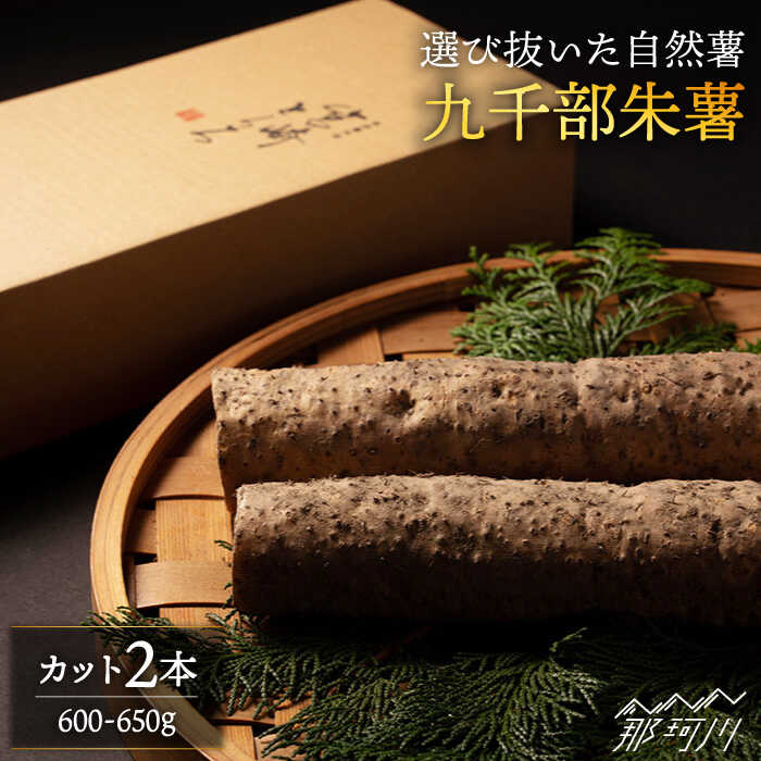 【ふるさと納税】【選び抜いた「粘り」と「香り」】 先行予約！自然薯 「九千部朱薯」600g～650g（2本）＜株式会社九千部＞那珂川市 | 父の日 母の日 [GAZ001] 10000 10000円 1万円 以上