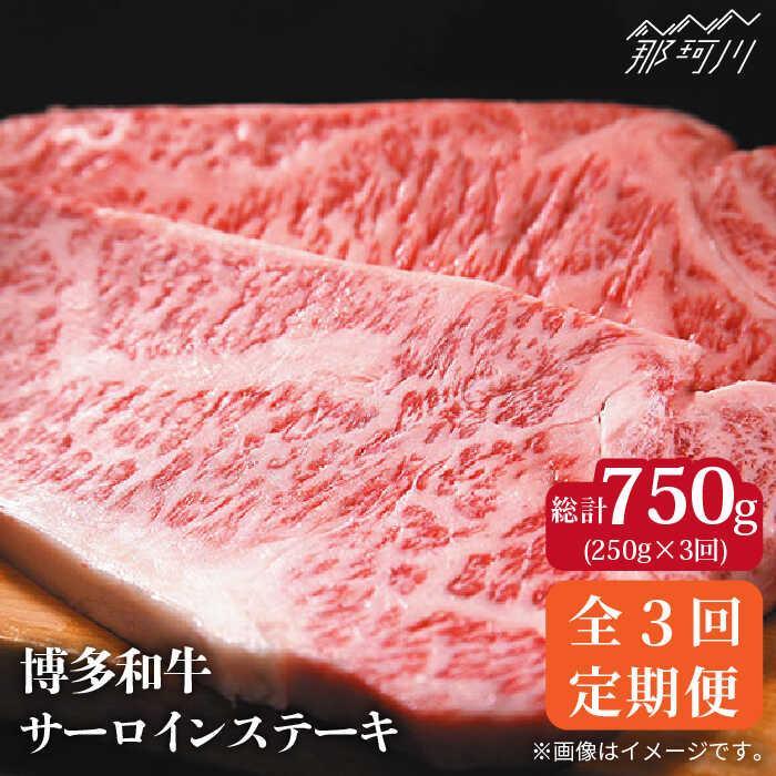 20400円 全日本送料無料 博多和牛 牛肉 A5 サーロイン ステーキ 250g×1枚 株式会社MEAT PLUS 那珂川市 GBW031