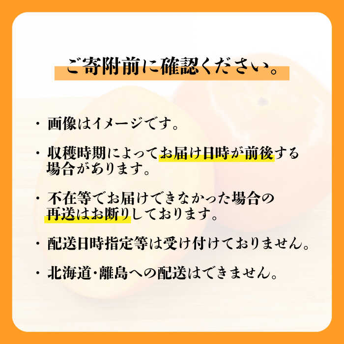 格安即決 ふるさと納税 2022年10月以降発送 九州 福岡より直送 種がほとんどない新ブランド柿 秋王 約1.5kg 一般社団法人地域商社ふるさぽ  那珂川市 GBX008 whitesforracialequity.org