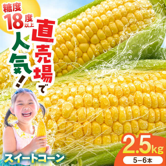 【ふるさと納税】【5月末より発送】朝採れ スイートコーン 約2.5kg（5~6本入り）数量限定 とうもろこし ＜ちくし農園＞那珂川市 | 5月末まで受付中 直売所 人気 トウモロコシ とうきび 新鮮 朝採り 野菜 スイーツ コーン 甘い おいしい [GDU002] 8000 8000円 8千円