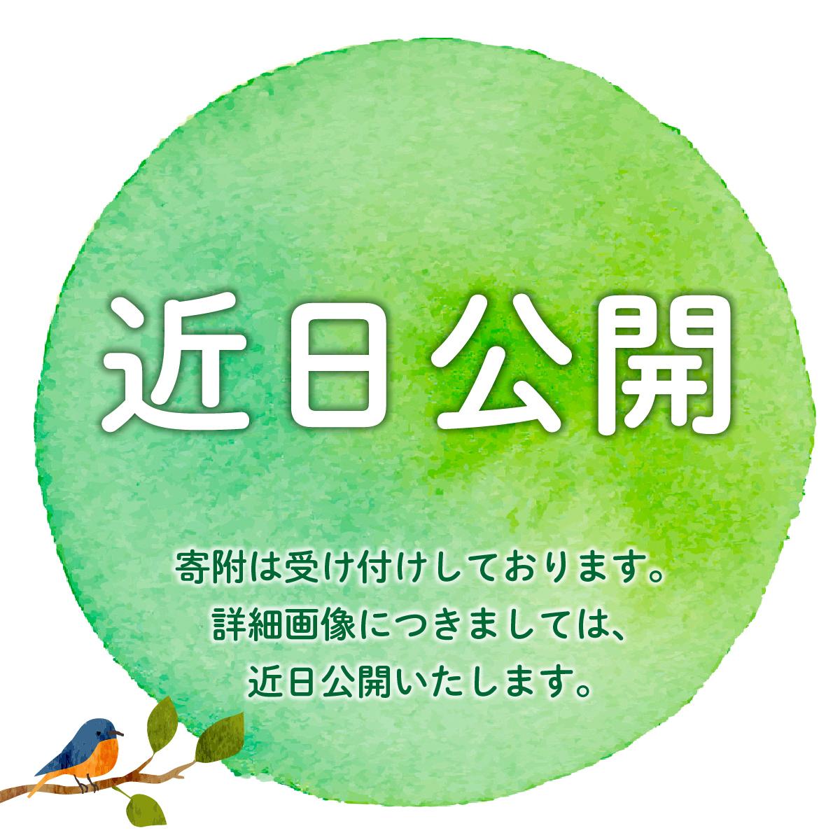 【ふるさと納税】【博多辛子明太子の島本】希少国産卵・無着色辛子明太子切れ子100ｇ×3種（計300ｇ）