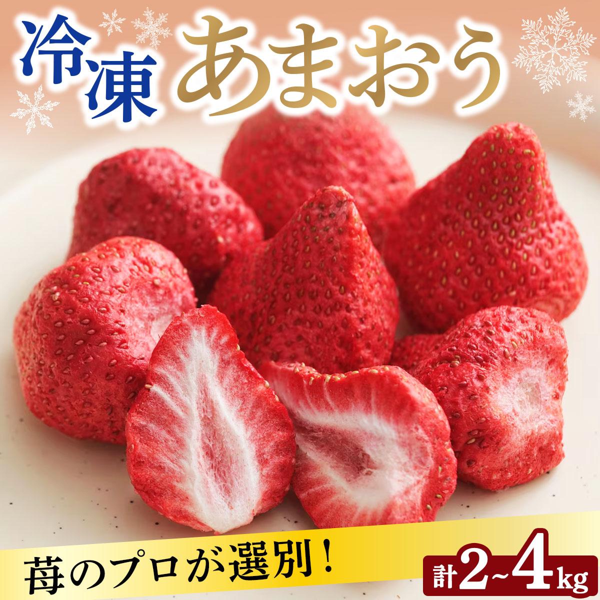【ふるさと納税】＜選べる容量＞自然環境農法 福岡県産 冷凍あまおう 2kg/4kg|苺 いちご イチゴ 完熟 あかい まるい おおきい うまい フルーツ 果物 デザート 期間限定 産地直送 冷蔵 お取り寄せ グルメ 送料無料 福岡県 那珂川市