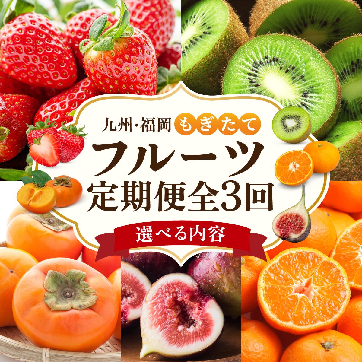 【ふるさと納税】＜選べる内容＞【定期便・全3回】九州・福岡もぎたて フルーツ定期便 A・B・C|果物 旬 国産 産地直送 いちご イチゴ 苺 あまおう みかん 蜜柑ミカン 極早生みかん 早味かん キウイキウイ キウイフルーツ キウィフルーツ 甘うぃ 送料無料 那珂川市 福岡県
