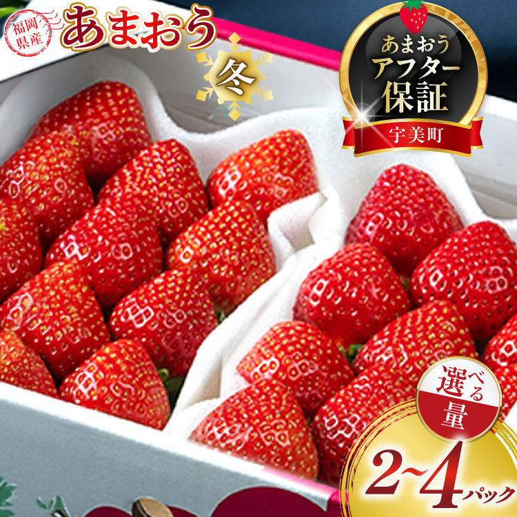 ふるさと納税 いちご 福岡県 宇美町 福岡産あまおう春８パック 2025年2月上旬から2025年3月下旬に順次発送予定　AX005 先行受付 2026年2月発送開始博多あまおうＧ270g×4パック｜ＪＡ