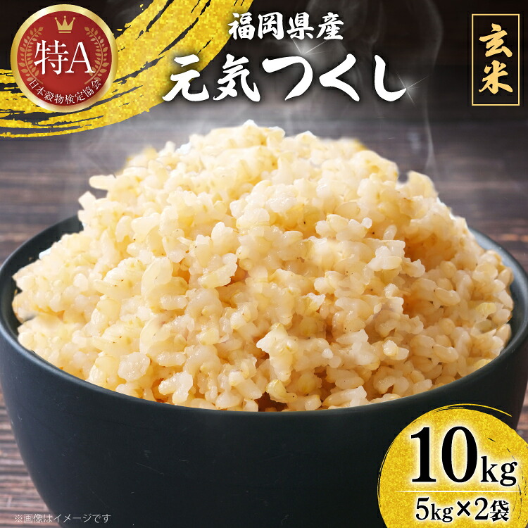 【ふるさと納税】 米 令和7年 玄米 元気つくし 5kg 2袋 計 10kg [ベネフィス 福岡県 宇美町 um40azp190012] 令和7年産 お米 ご飯 コメ ごはん｜福岡県宇美町