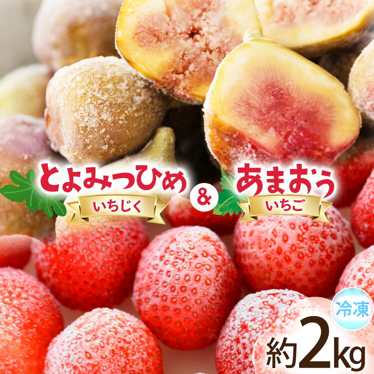 【ふるさと納税】 フルーツ 冷凍 あまおう ＆ 冷凍 よみつひめ セット 計約2kg [地域商社ふるさぽ 福岡県 宇美町 um40bfw220006] いちご いちじく 果物 イチゴ 苺 イチジク 無花果 くだもの ジャム シャーベット スムージー 詰め合わせ
