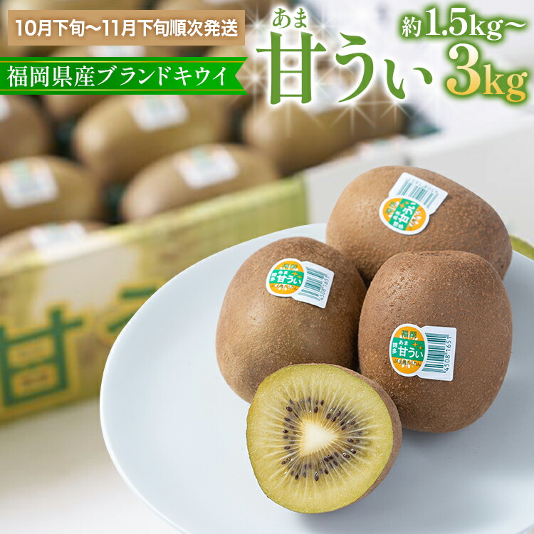 【ふるさと納税】 期間限定 福岡県産ブランドキウイ「甘うぃ」美容 健康 ビタミンC キウイフルーツ  1.5kg 3kg