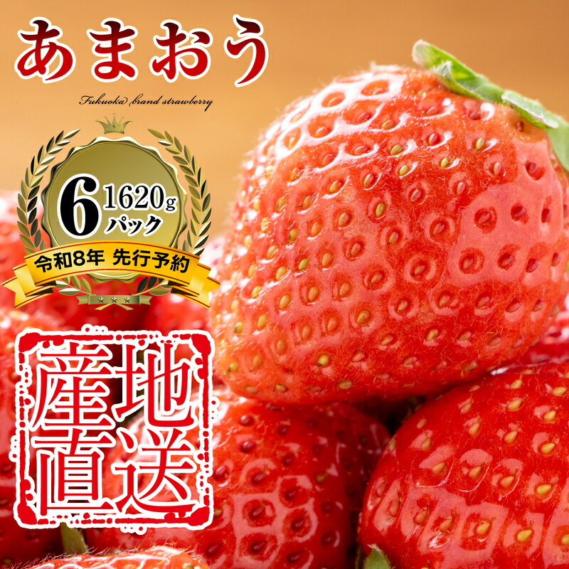 【ふるさと納税】【500件限定先行予約】2026年3月下旬～5月末までに発送 福岡県産 農家直送 あまおう 270g以上 6パック TY011-2【福岡県 須恵町】