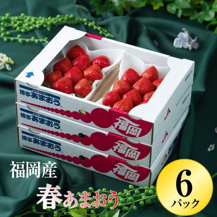 2023年2月以降発送 先行予約 福岡産 春あまおう 6パック SE1534-10 誠実