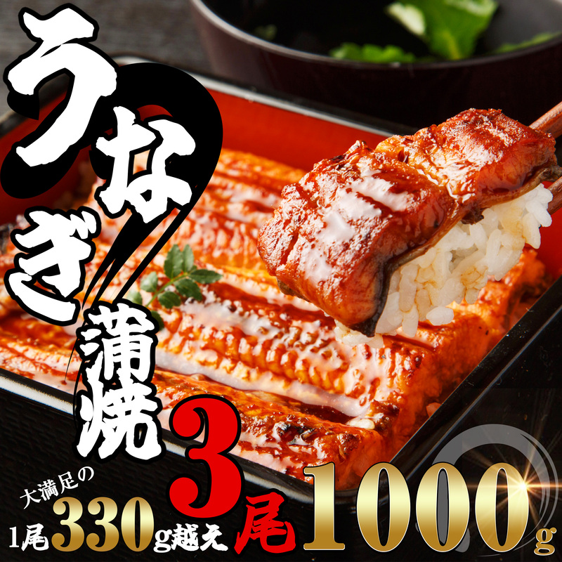 楽天市場】【ふるさと納税】ふっくら肉厚うなぎ蒲焼2尾 SE0605-181【 福岡県 須恵町 】 : 福岡県須恵町