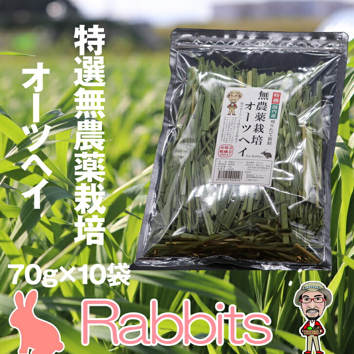 【ふるさと納税】うさぎ 草藁 無農薬 オーツヘイ 70g×10袋 | 特選 国内産 無農薬作りだす 愛玩動物ボンネット 家兎 兎 実験材料 デグー 小毛の荒物 餌 えさ 小分け 700g おすすめ お取り寄せ 福岡県 須恵町