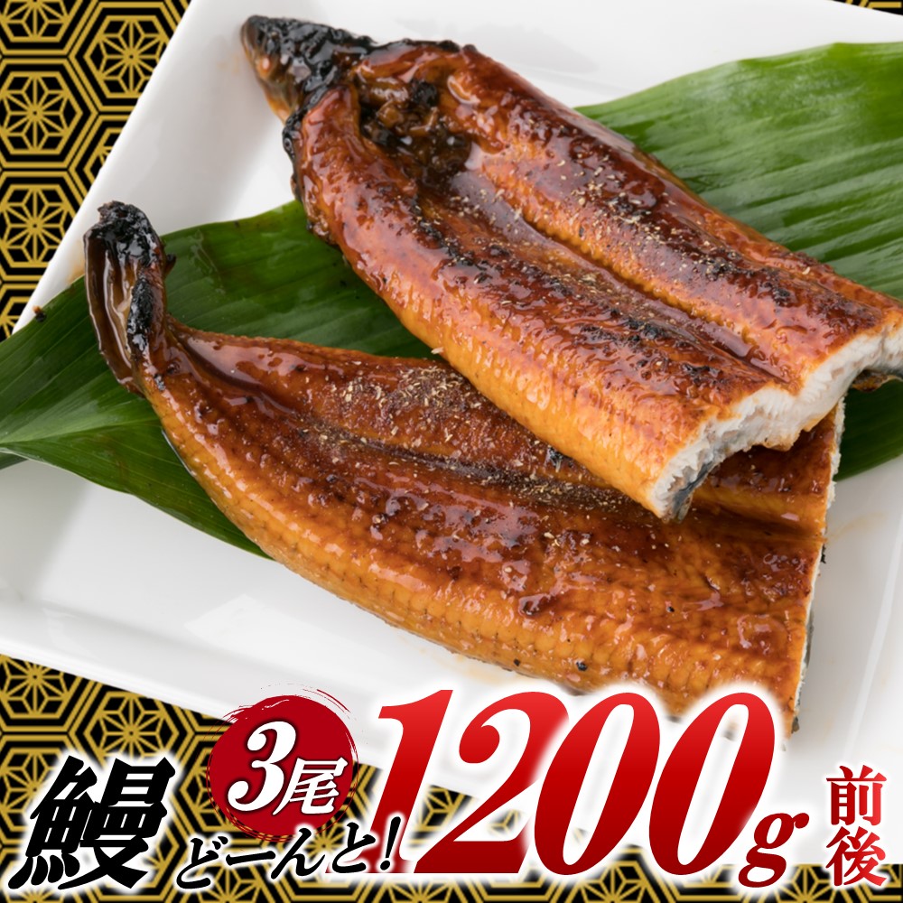 【ふるさと納税】うなぎの蒲焼３尾（計１，２００ｇ前後）『１～２ヶ月前後でお届け！！』 鰻 たれ 山椒.AB431｜福岡県新宮町