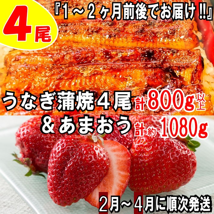 【ふるさと納税】うなぎの蒲焼４尾＆いちごの王様あまおう１０８０g【新宮町ミラクルセット】 鰻 たれ 山椒 苺 高級 フルーツ【北海道・沖縄・離島へ配送不可】 .BD018
