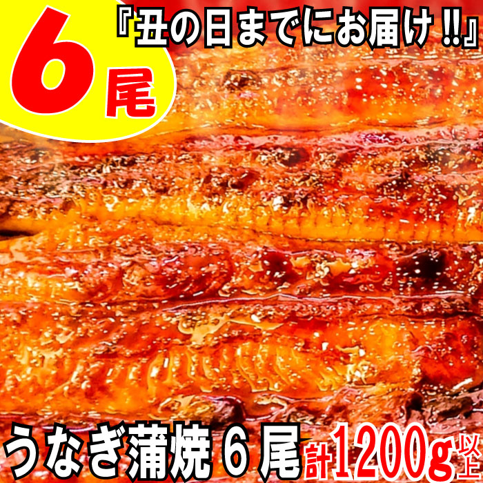 楽天市場 ふるさと納税 うなぎ蒲焼 1尾 ムツゴロウ蒲焼 5尾入り セット 食べ比べ 合計6尾 うなぎ 蒲焼 ムツゴロウ 国産 九州産 有明 本家峰松うなぎ屋 佐賀県 鹿島市 送料無料 C 8 佐賀県鹿島市