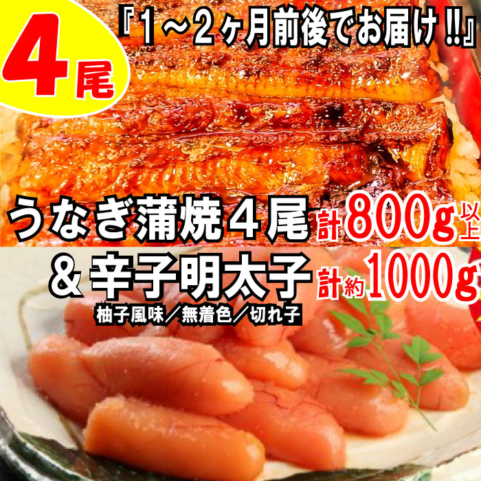 【ふるさと納税】うなぎの蒲焼４尾＆無着色辛子明太子１キロ【ご飯のお供！最強セット】 鰻 たれ 山椒 訳あり めんたいこ 切れ子 柚子風味 1kg .BD015