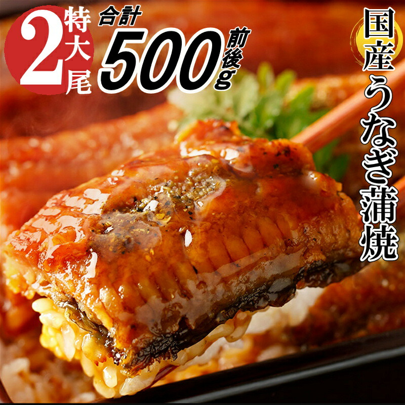 人気ブランドを ふるさと納税 北九州市 九州産うなぎ蒲焼特大3尾 1尾あたり200〜235g FY13-S19  materialworldblog.com