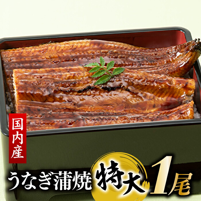 【ふるさと納税】【国内産】【有頭】うなぎ蒲焼 (特大) 1尾 ＜計250g前後＞『１～２ヶ月前後でお届け！！』 鰻 たれ 山椒 .AB292