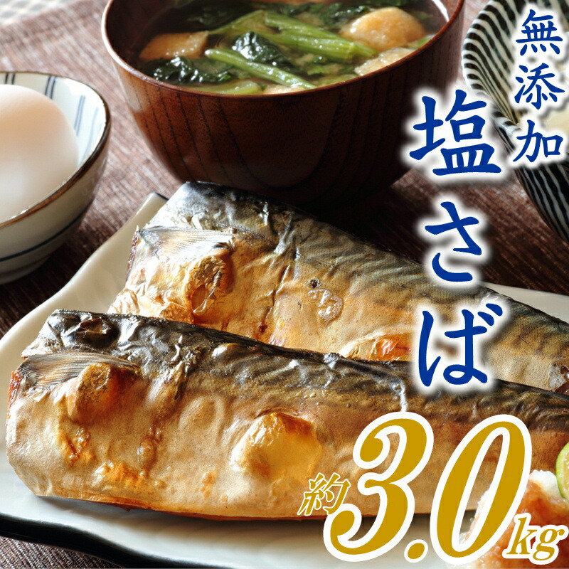 【ふるさと納税】バラ凍結で便利！塩さば（約3kg） 無添加 塩サバ バラ凍結 大容量 鯖 さば お弁当.AB182