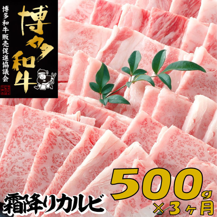 【ふるさと納税】【博多和牛】A４・Ａ５等級こくうま霜降りカルビ焼肉５００ｇ&times;3か月定期便.C149｜福岡県新宮町