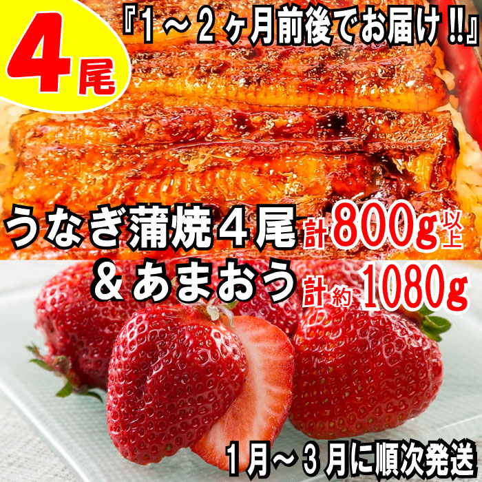 【ふるさと納税】うなぎの蒲焼４尾＆いちごの王様あまおう１０８０g【新宮町ミラクルセット】 鰻 たれ 山椒 苺 高級 フルーツ .BD018