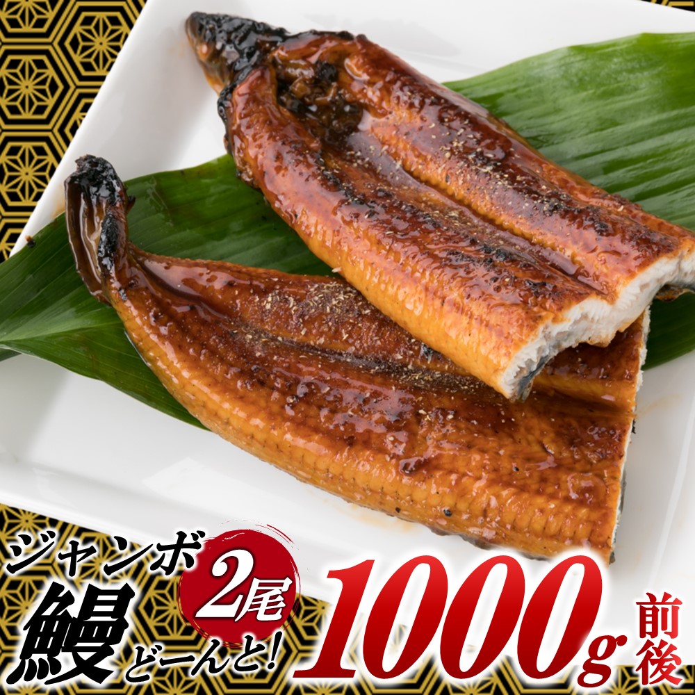 【ふるさと納税】ジャンボうなぎの蒲焼２尾（計１，０００ｇ前後）『１～２ヶ月前後でお届け！！』鰻 たれ 山椒.A1470