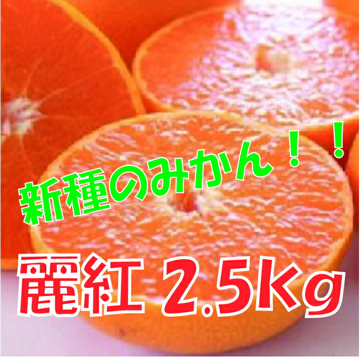 【楽天市場】【ふるさと納税】A511.【新種の柑橘】麗紅(れいこう)／約2．5キロ(1月末～2月末発送予定)：福岡県新宮町