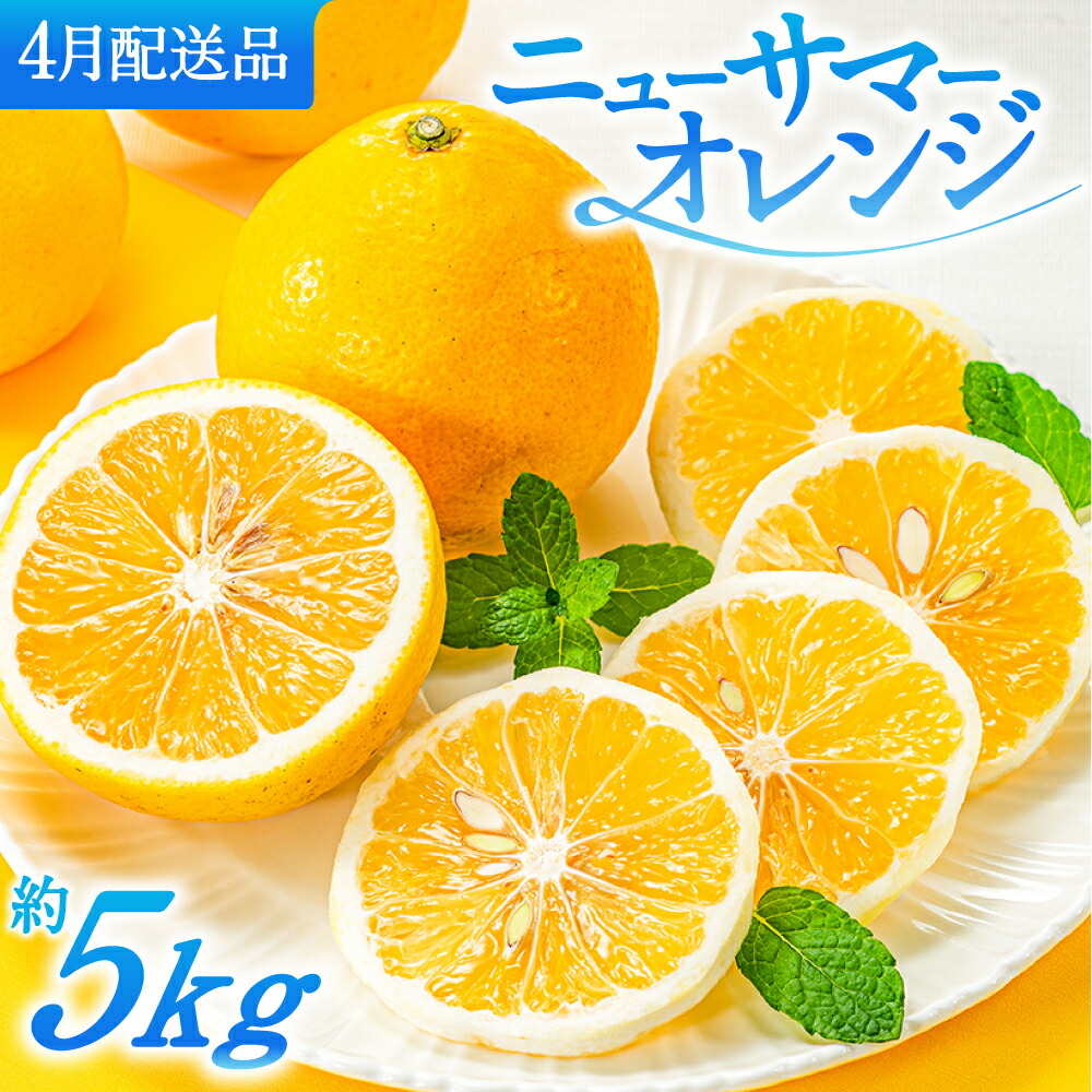 【ふるさと納税】福岡柑橘王国．ニューサマーオレンジ約5kg／2026年4月配送 数量限定 日向夏 小夏みかん 果物 旬 季節 果物 .AA115