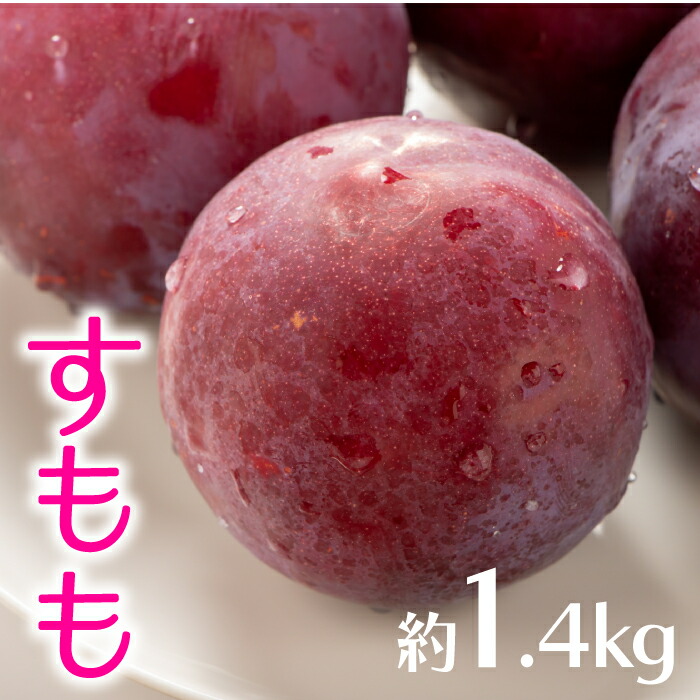 【ふるさと納税】九州・福岡フルーツ王国より直送.すもも.約1.4kg／2025年年6月配送 プラム 旬 季節 果物 .AB136