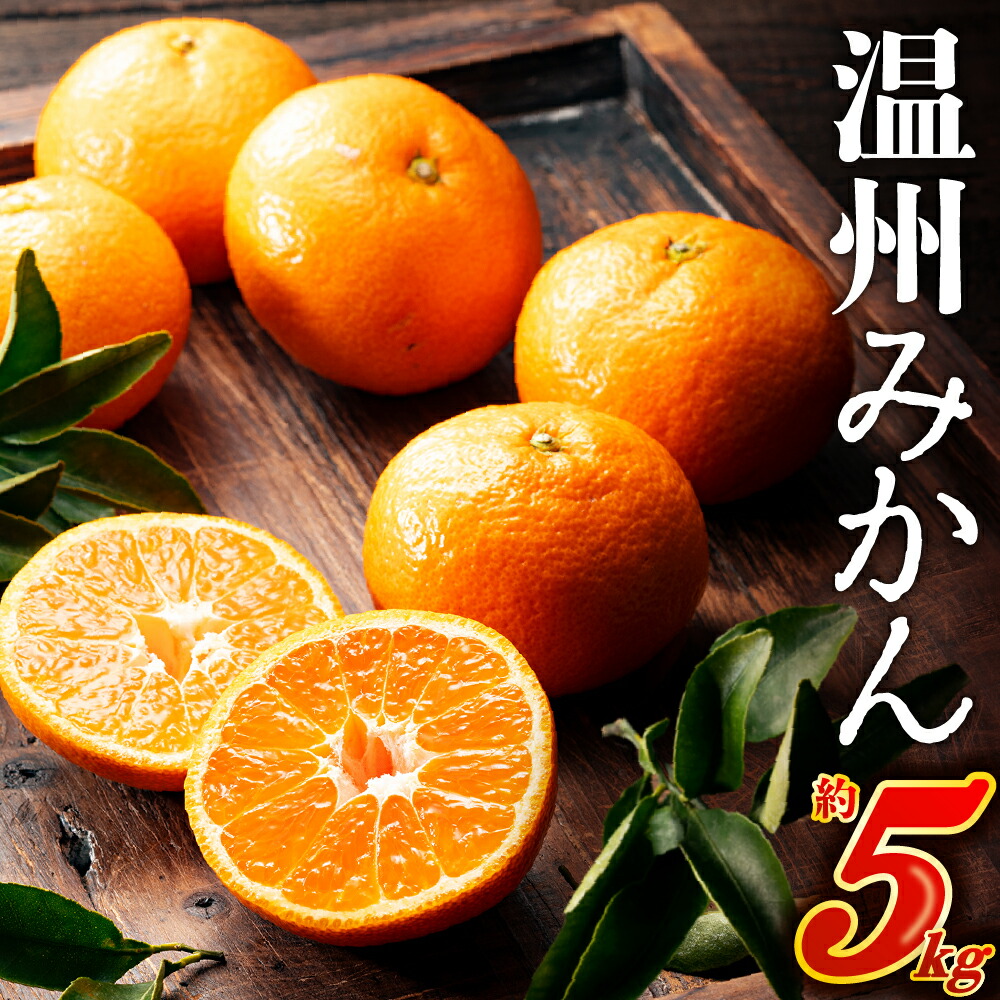 【ふるさと納税】温州みかん（5キロ程度）／2025年11月～2026年1月配送 産地直送 ミカン.AA074