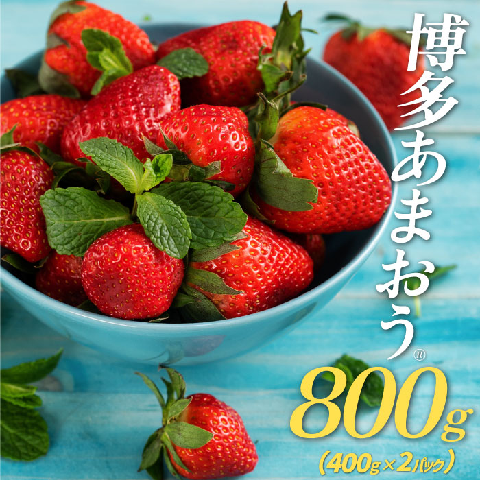 【ふるさと納税】★限定品★あまおう（４００ｇ×２パック）／２０２６年１月下旬～４月発送【あまおう】いちご 苺 高級 フルーツ ．AB144