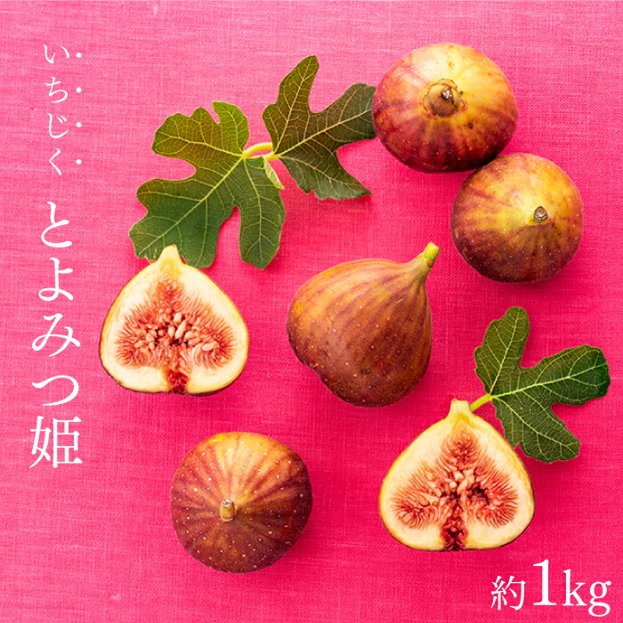 【ふるさと納税】九州・福岡フルーツ王国より直送.いちじく（とよみつ姫）約1kg／2025年8月～9月配送【とよみつひめ】.A1361