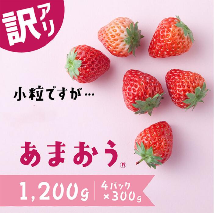 【ふるさと納税】【訳あり.限定品】あまおう.小粒ですが約１２００g（先行受付．２０２６年１月以降発送） いちご 苺 高級 フルーツ【あまおう】.AB380