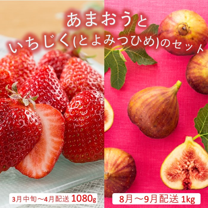 【ふるさと納税】あまおう約1,080gといちじく（とよみつひめ）約1kgのセット【北海道・沖縄・離島へ配送不可】【あまおう】【とよみつひめ】.B385