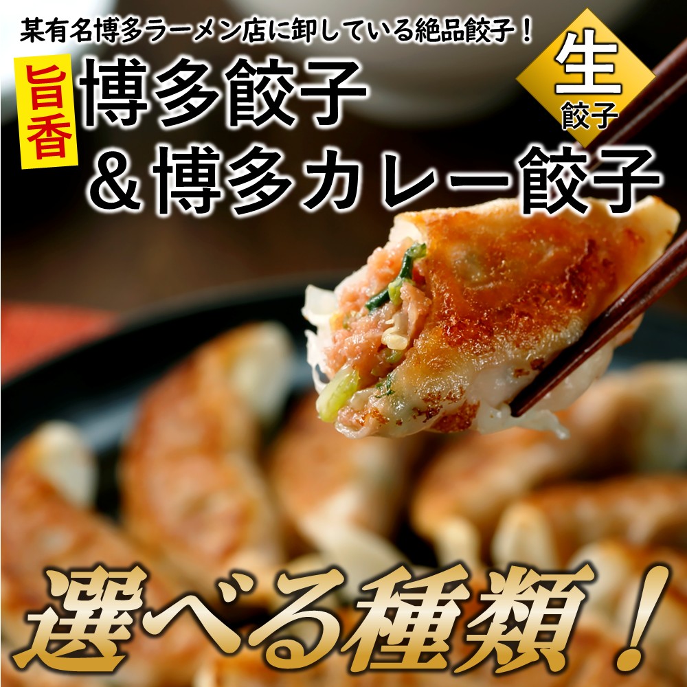 【ふるさと納税】【創業40年の老舗が誇る味わい】博多餃子＆カレー餃子（選べる種類） 国産 豚肉 野菜 ギョーザ