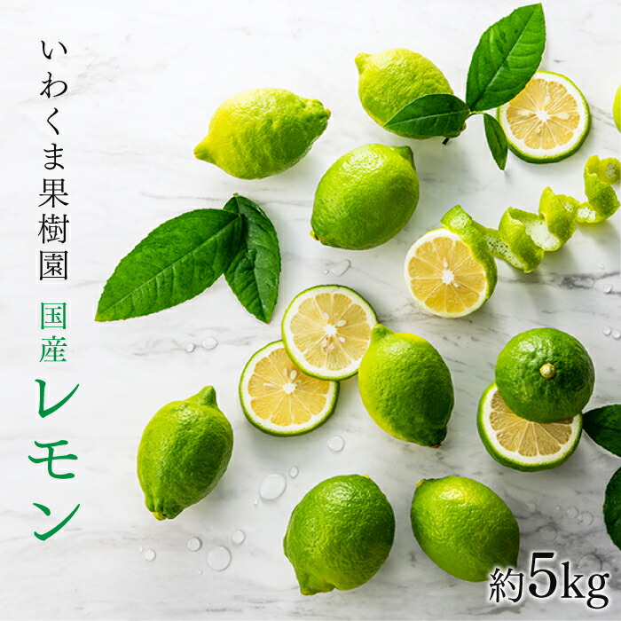 【ふるさと納税】貴重な国産レモン.約5kg.新宮町産の逸品です／2025年9月～2026年2月発送予定.AA079