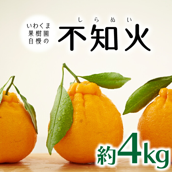 【ふるさと納税】いわくま果樹園自慢の不知火／約4kg(2026年2～3月発送予定).AA196