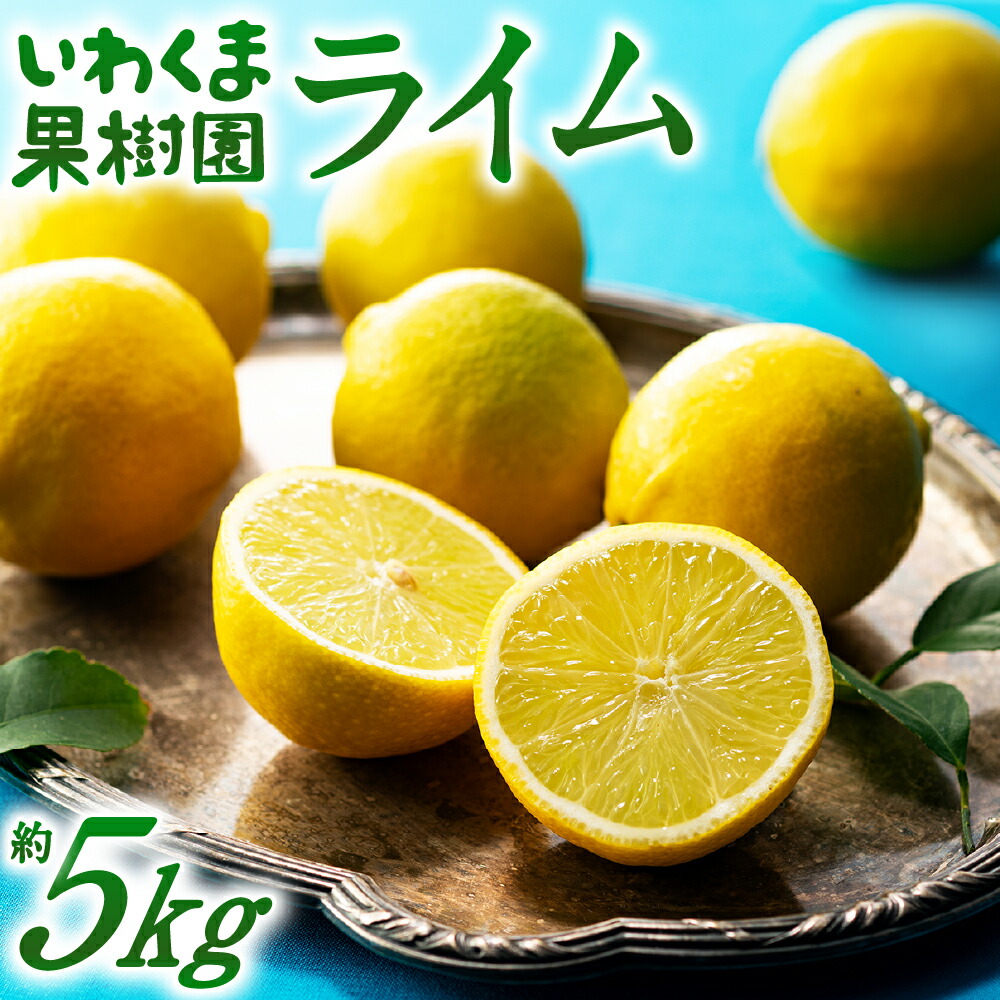 【ふるさと納税】貴重な国産ライム.約5kg.新宮町産の逸品です／2025年10月～12月発送予定.AA206