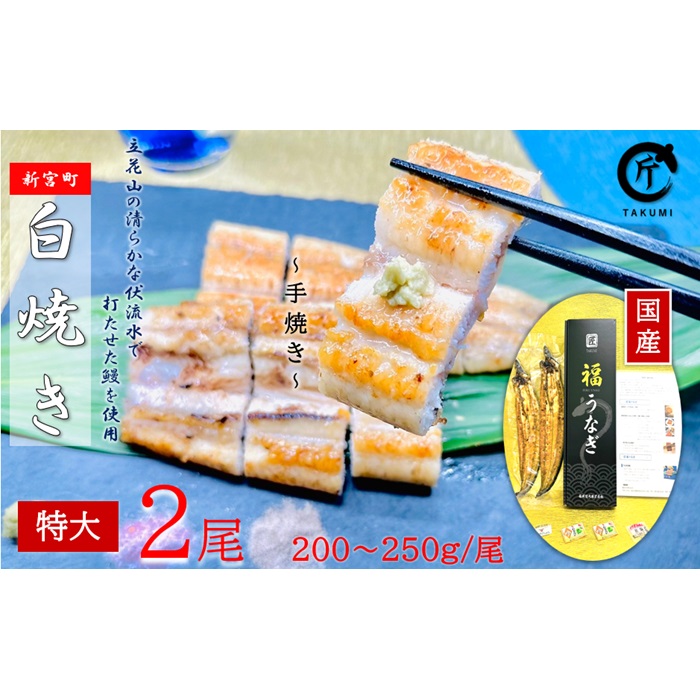 【ふるさと納税】国産うなぎ白焼2尾(計400~500g).AF095|福岡県新宮町