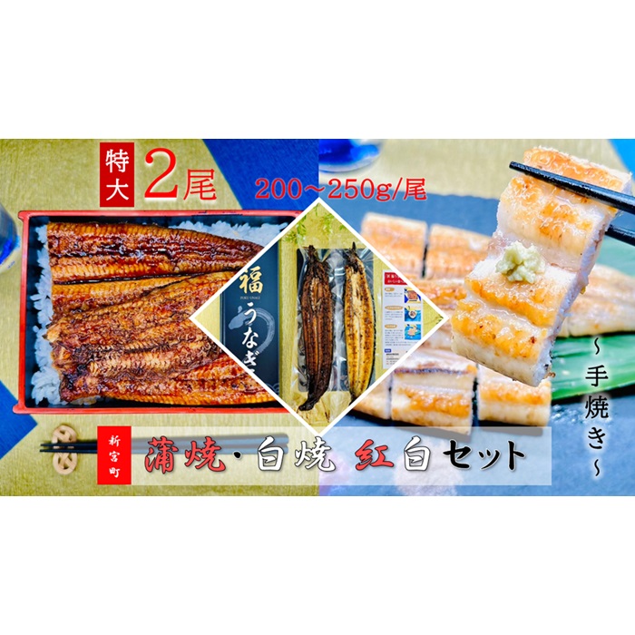 【ふるさと納税】うなぎ蒲焼とうなぎ白焼食べ比べ紅白セット.AD163|福岡県新宮町