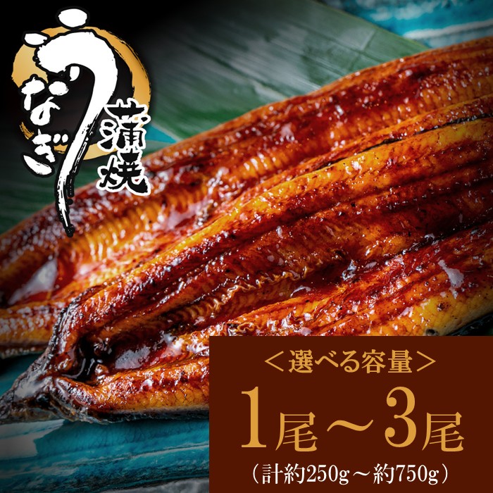 【ふるさと納税】うなぎ蒲焼きセット（選べる容量）