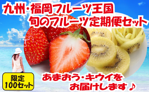 【ふるさと納税】九州・福岡フルーツ王国.旬のフルーツ定期便Kセット.全2回 あまおう キウイ いちご 苺 旬 季節 果物 .BD009