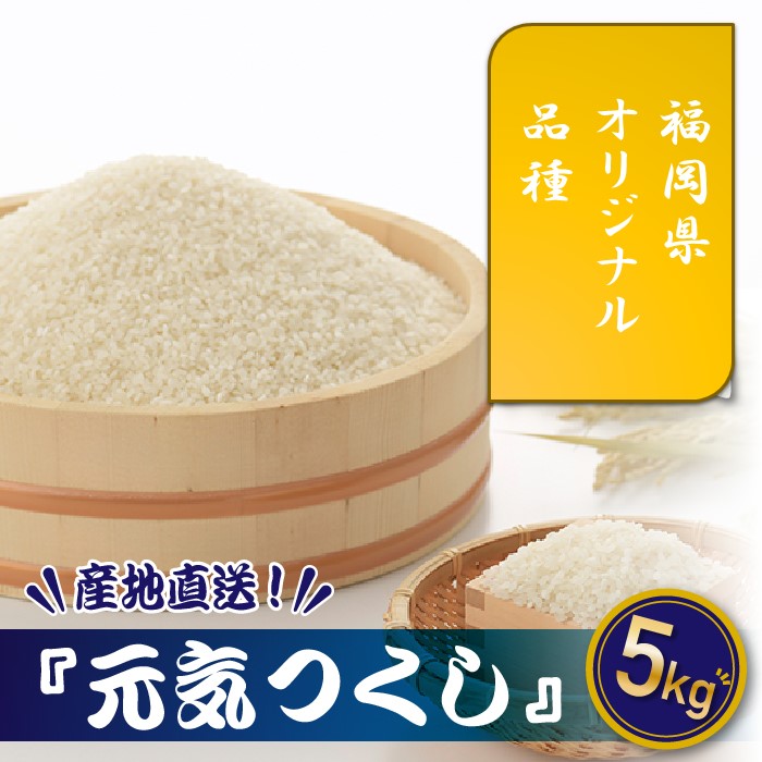 【ふるさと納税】特Ａも獲得した自慢のお米『元気つくし』5kg 国産 白米 精米 ご飯【元気つくし】.AD136