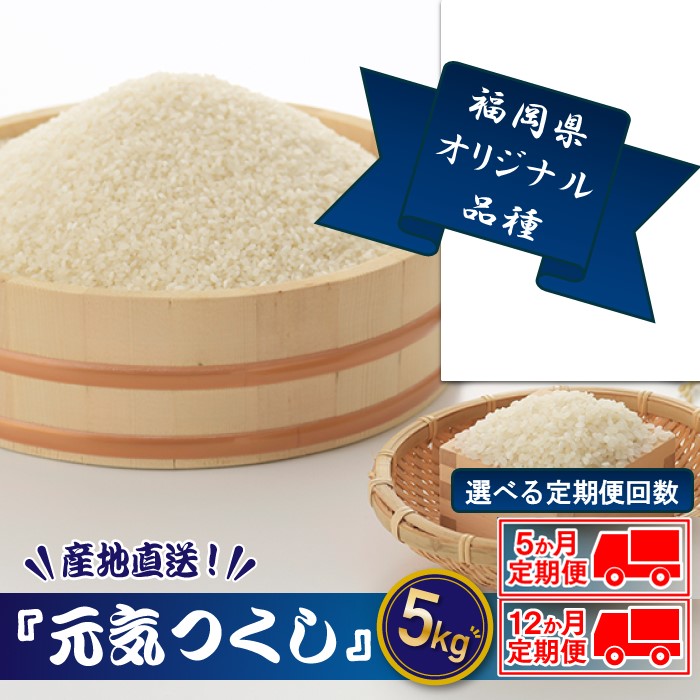 【ふるさと納税】【定期便・選べる5ヶ月・12ヶ月】特Ａも獲得した自慢のお米『元気つくし』5kg【元気つくし】
