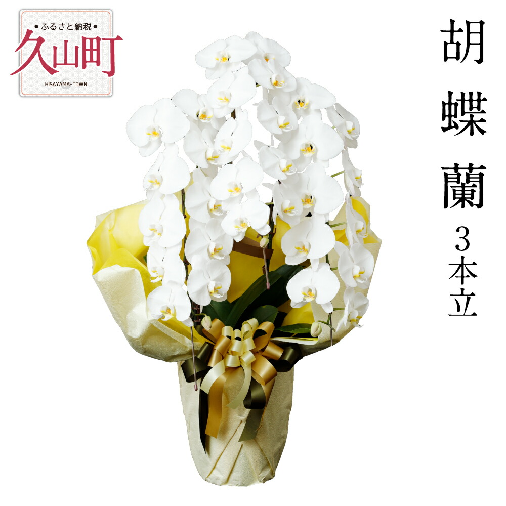 ふるさと納税 胡蝶蘭 オンライン 3本立 7 8号鉢 大輪 お祝い ギフト 開店祝い お供え 贈答用 花鉢 フラワーギフト 送料無料 福岡県久山町 凛とした佇まいが気品にあふれ 豪華な雰囲気を漂わせる王道の贈答用花鉢
