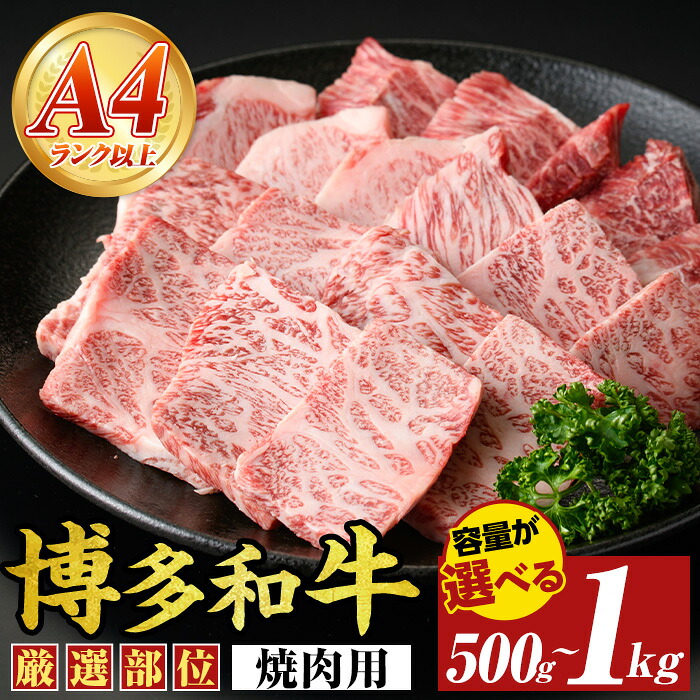 【ふるさと納税】≪容量選べる≫【A4~A5】博多和牛焼肉用(計500g~1kg) 国産 九州産 福岡県産 牛肉 和牛 黒毛和牛 やきにく お肉【MEAT PLUS】|福岡県芦屋町