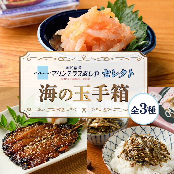 【ふるさと納税】筑前芦屋 海の玉手箱セット(全3種) 明太 明太子 めんたい めんたいこ 海鮮 魚介 魚卵 いか イカ いかめんたい いか明太 いわし イワシ 鰯 いわしみりん あしやみりん みりんぼし いりこ セット 名物 おかず おつまみ 晩酌 冷凍【マリンテラスあしや】｜福岡県芦屋町